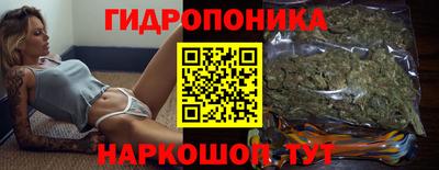 apvp Вышний Волочёк