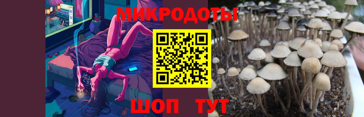 Вольск  Галлюциногенные грибы Psilocybe  Вход с VPN  Псилоцибиновые грибы Psilocybine cubensis 